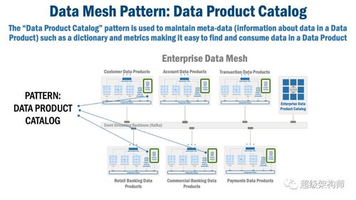 数据网格架构模式 构建可扩展的数据处理与存储支持服务体系
